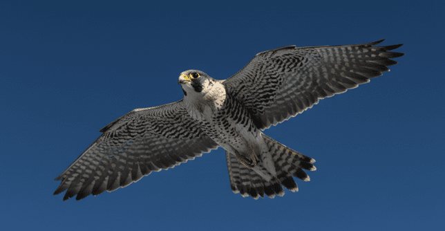 Screenshot 2025-10-24 211314