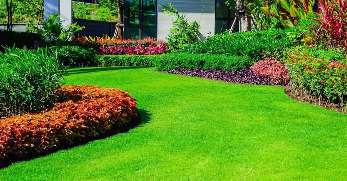 Lush resilient green lawn