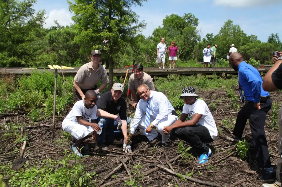 Community volunteers planting trees – reforestation in action